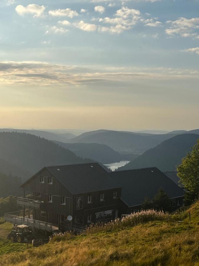 Le Chalet De La Folie Corcieux Eksteriør billede